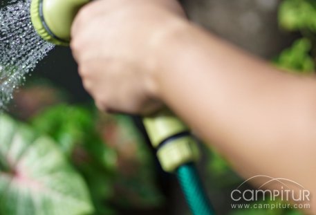 Nuevas subvenciones para Berlanga 